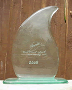 Bromley Environment Award